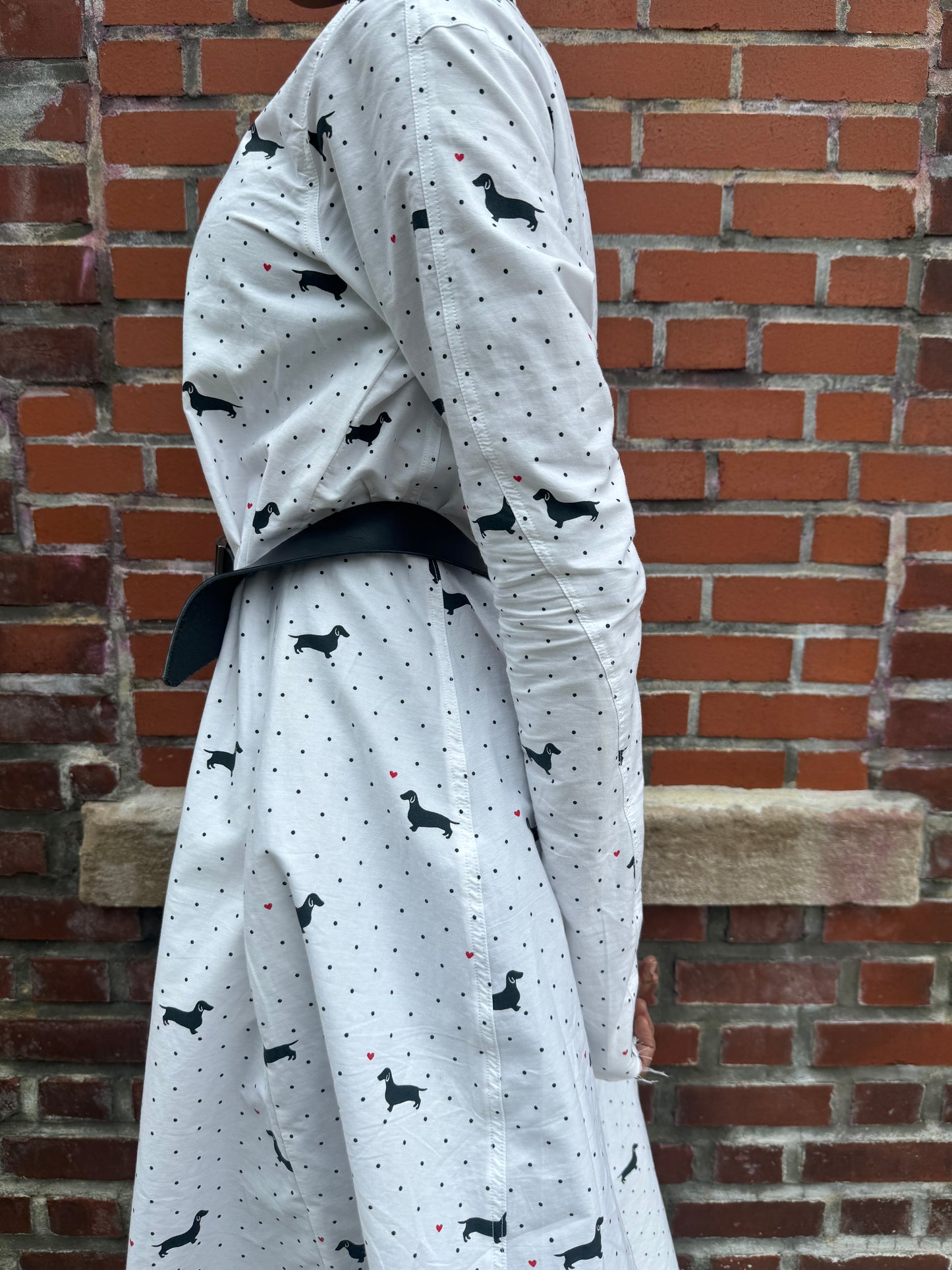 SS24 || FAULTED SHOULDER JENN LONG SLEEVE DRESS || DOG PRINT