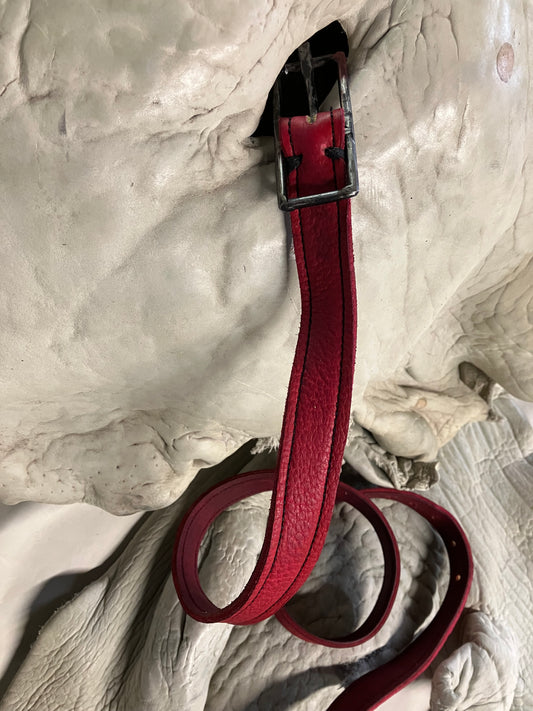 FW25 || KGN 13 1" BELT || RED - BISON