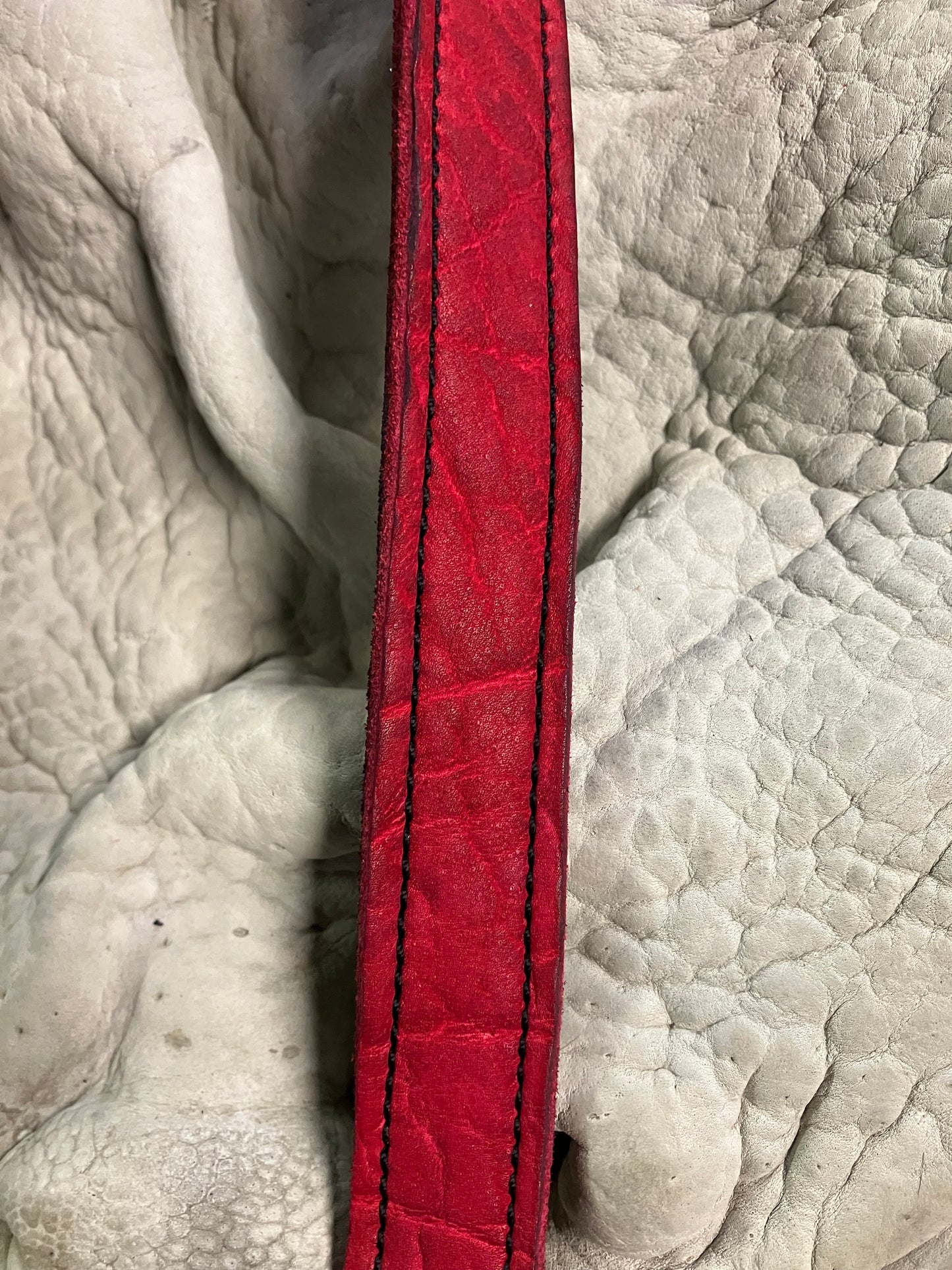 FW25 || KGN 13 1" BELT || RED - BISON
