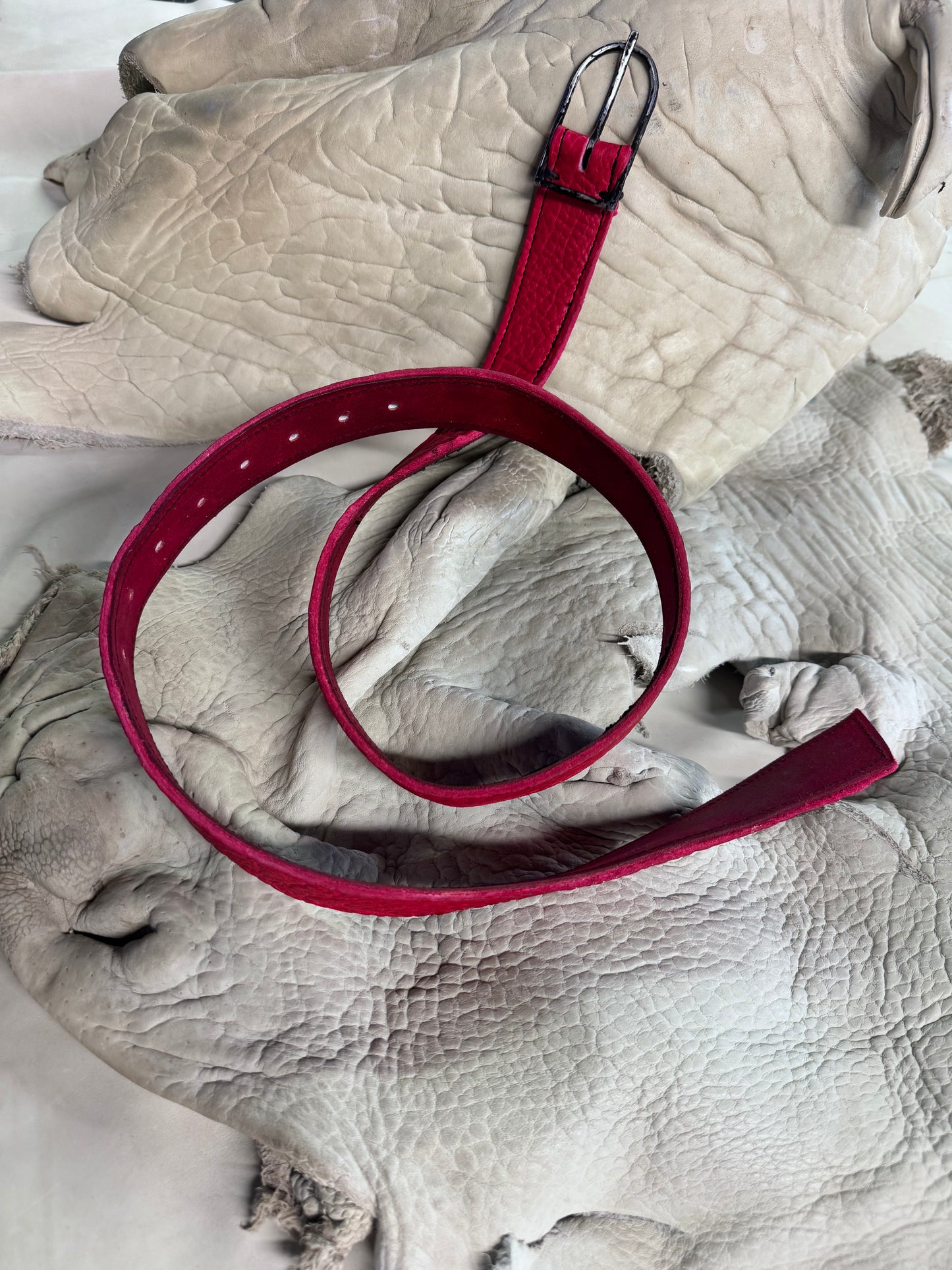 FW25 || JACKSON 1.5" BELT || RED - BISON