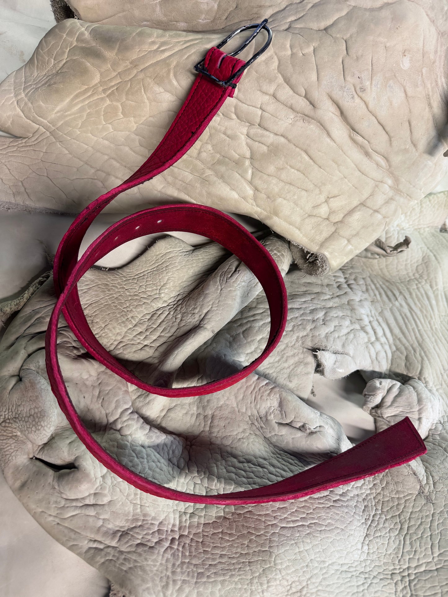 FW25 || JACKSON 1.5" BELT || RED - BISON